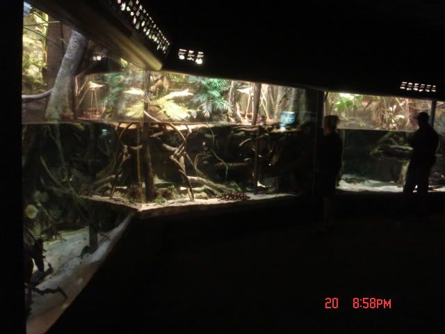 DSC01427.jpg