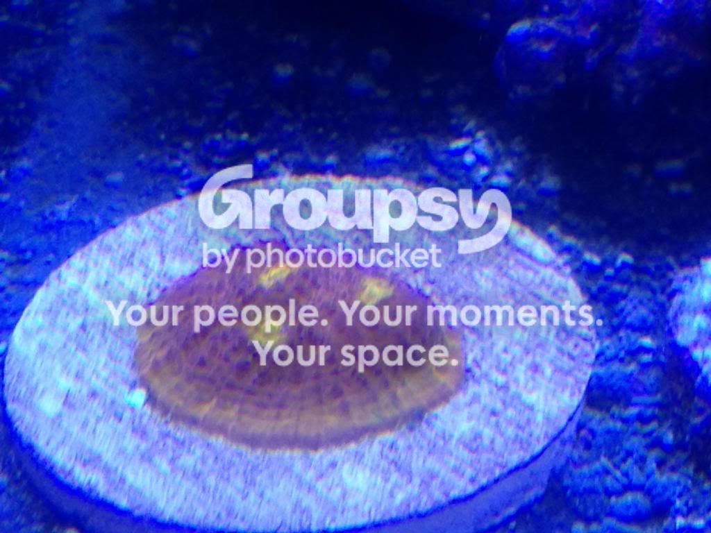 IMG_1209_zpsda6d0db5.jpg