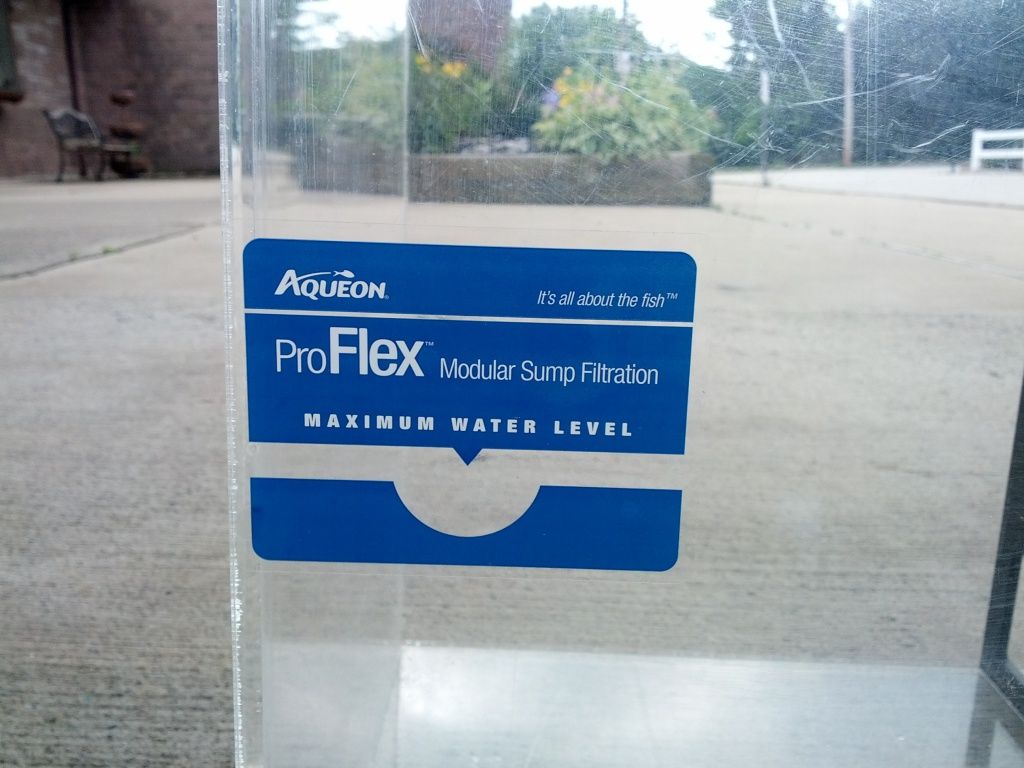 IMG_20120625_160658.jpg