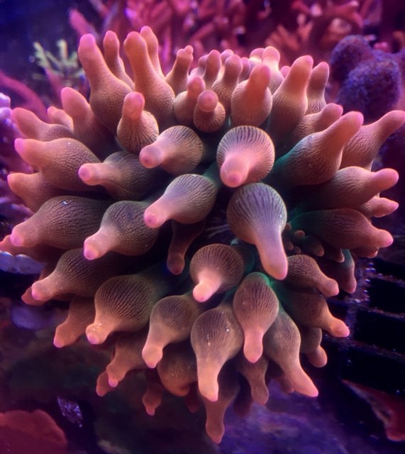 44c65e70fa5763cc1ae6b85b1f657ae6.jpg