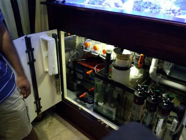 2011-08-21140314.jpg