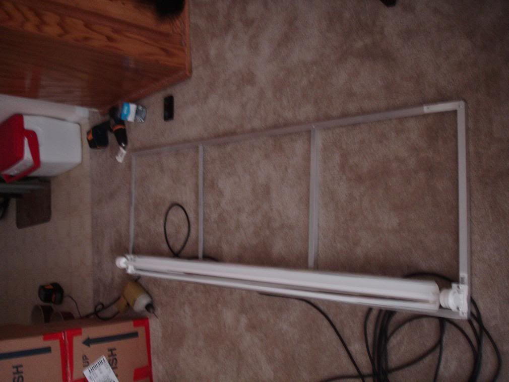 DSC04430.jpg