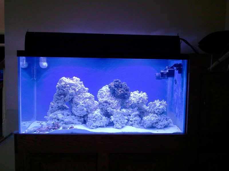2011-03-28170412.jpg