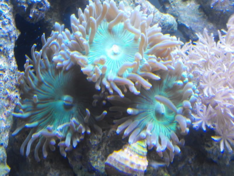 DSCF1386.jpg