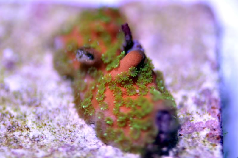 DSC_0140_edited-1.jpg