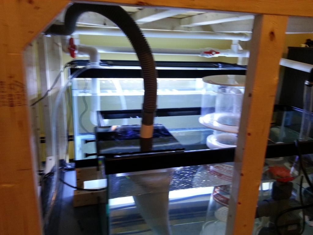 20121209_165350.jpg