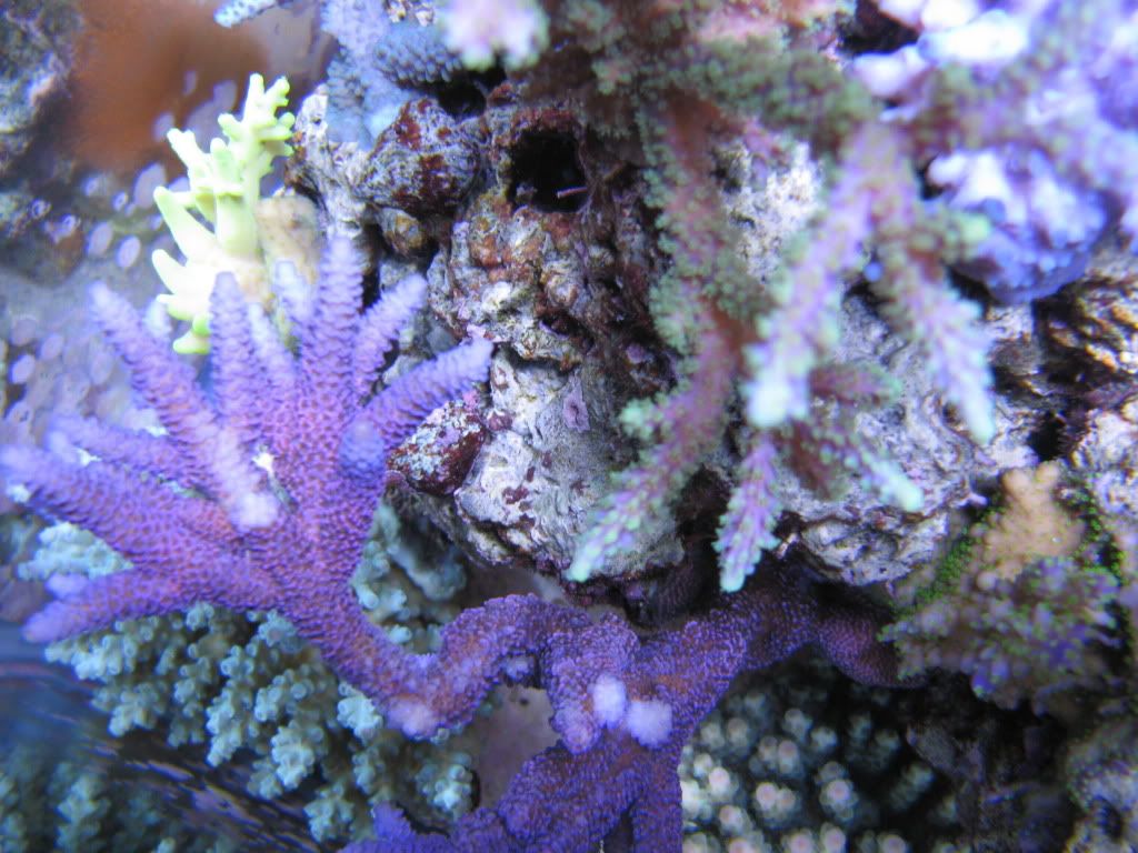 IMG_0867.jpg