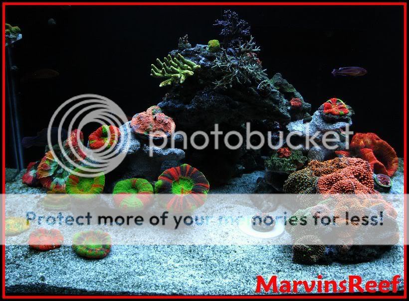 03-31-10FTSLeftyA.jpg