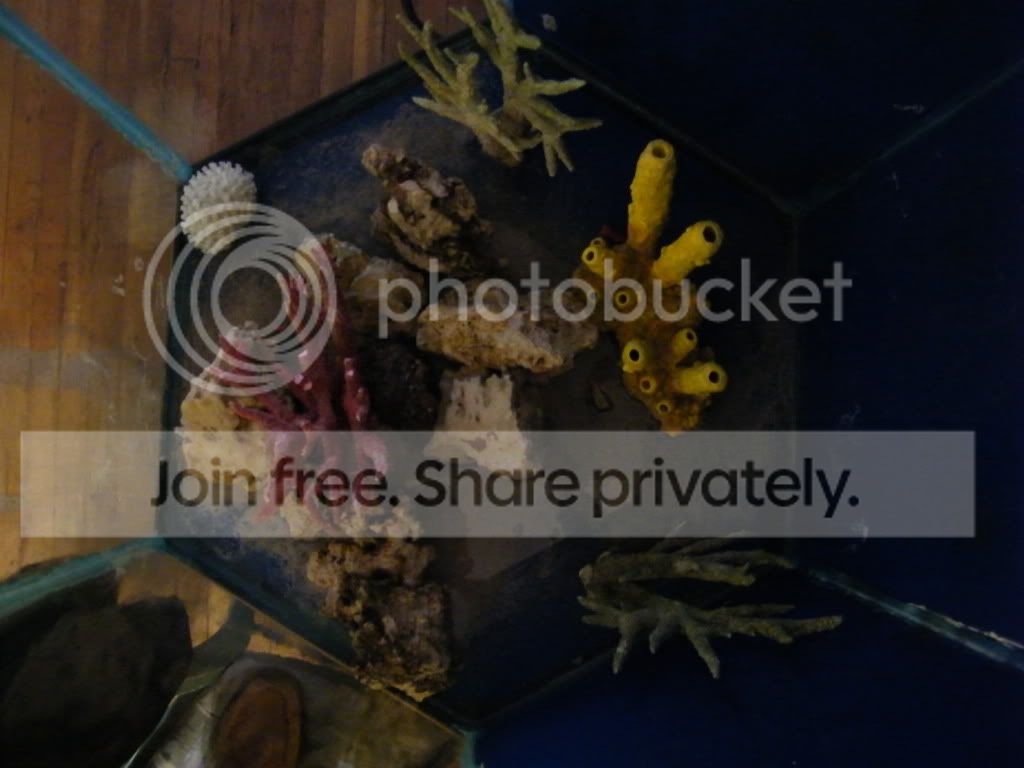DSCF7704.jpg