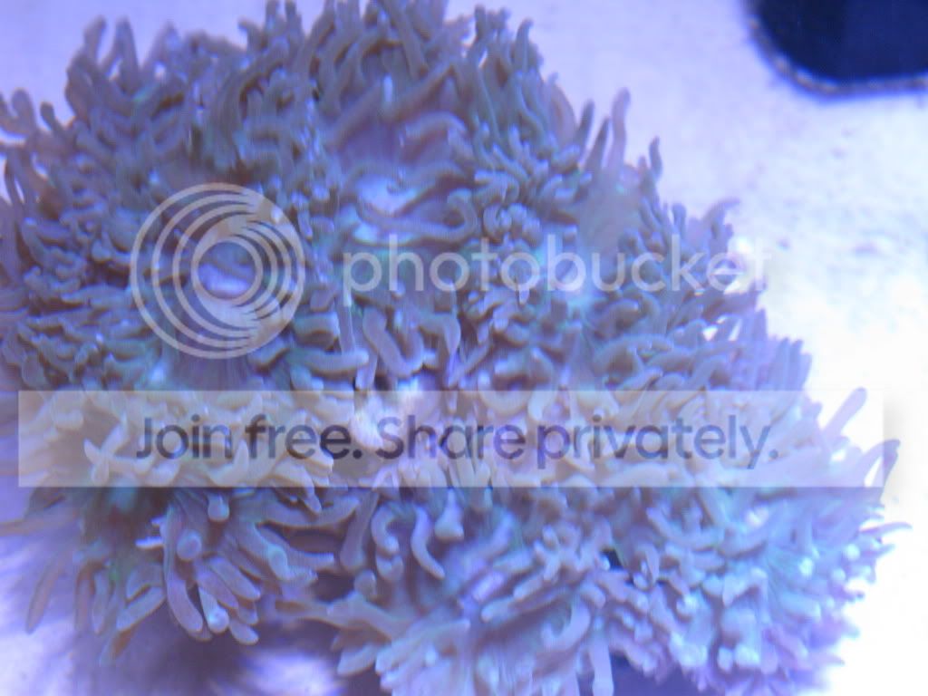 IMG_1086.jpg