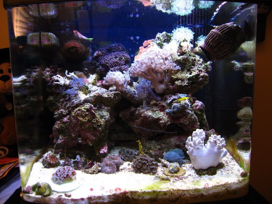 IMG_0111.jpg