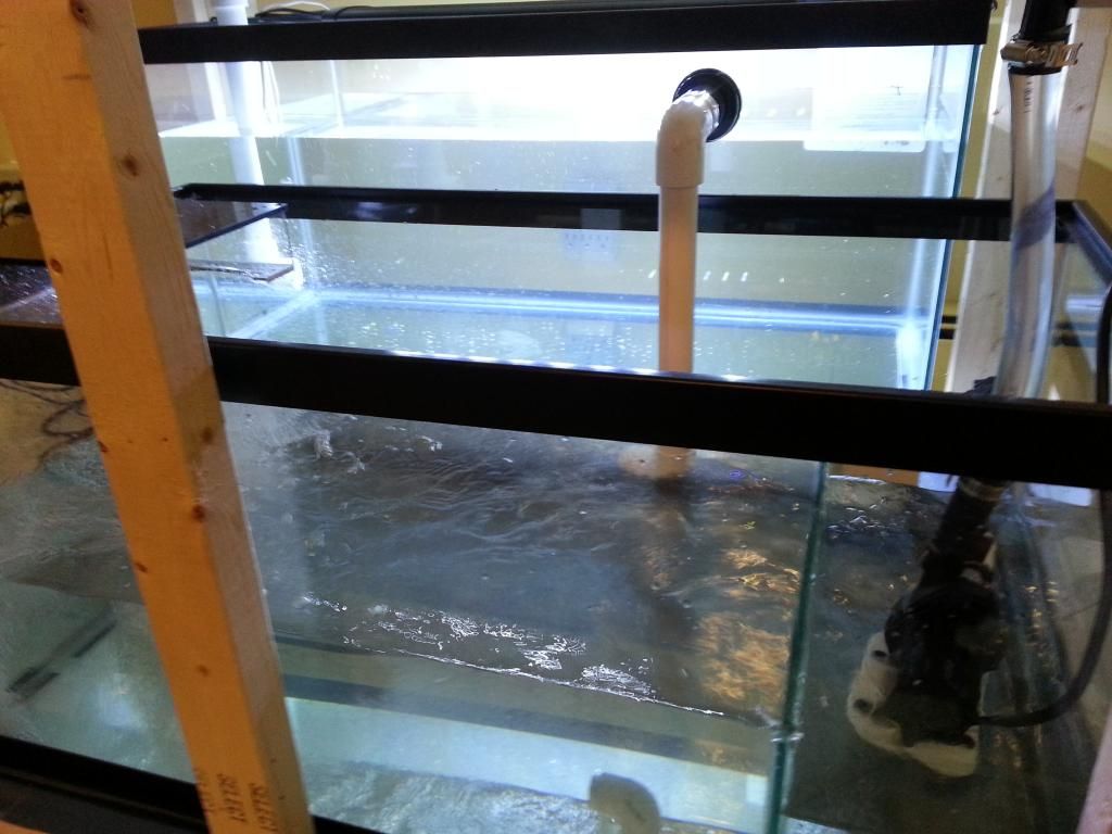 20121209_160833.jpg