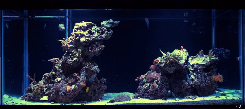 FTS2.jpg