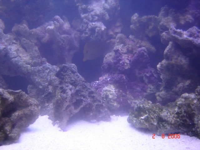 DSC00835.jpg