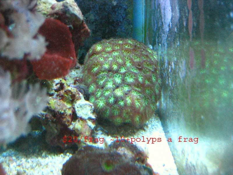 IMG_6611.jpg