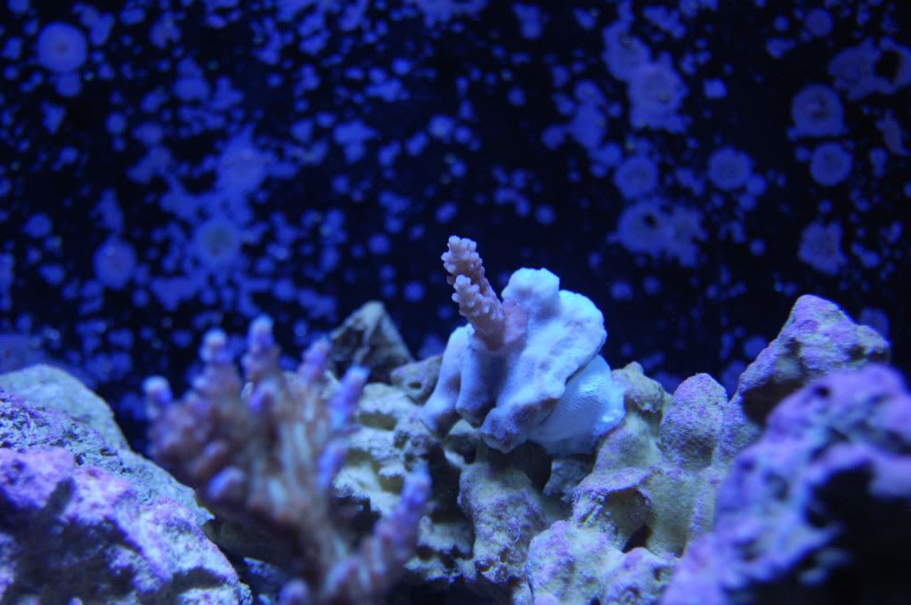 DSC_0120_788.jpg