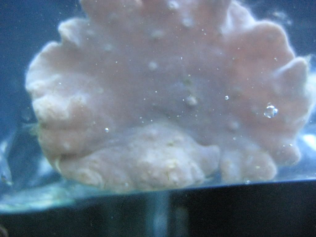 038.jpg