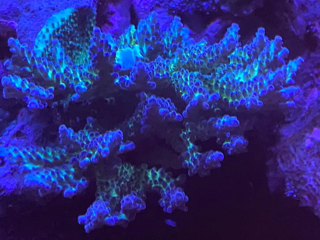 67aaa66c7ac3ebc2b4f53f2d6fa31b90.jpg