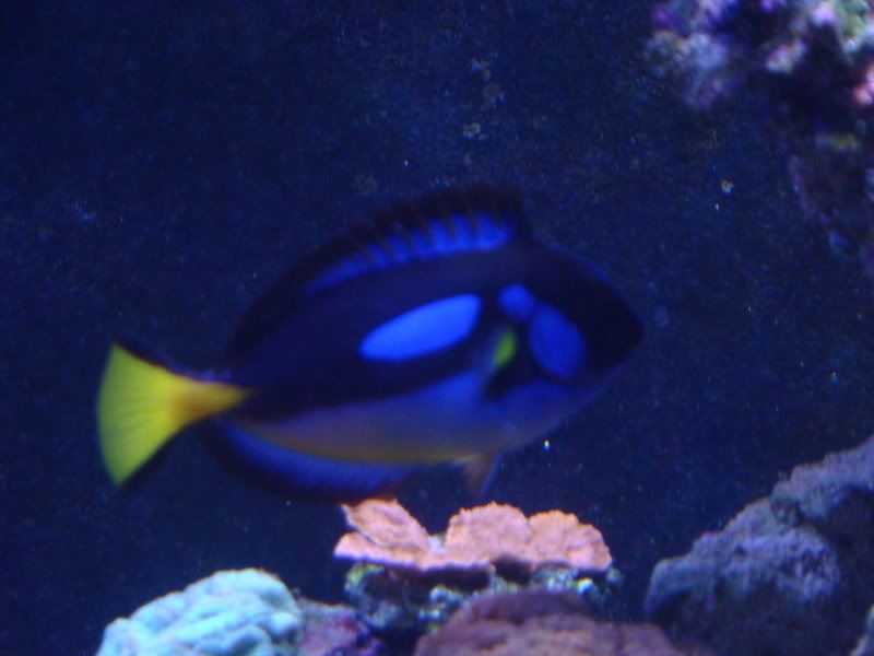 DSC04387.jpg