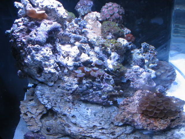 IMG_1156.jpg
