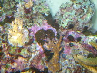 IMG_0851.jpg