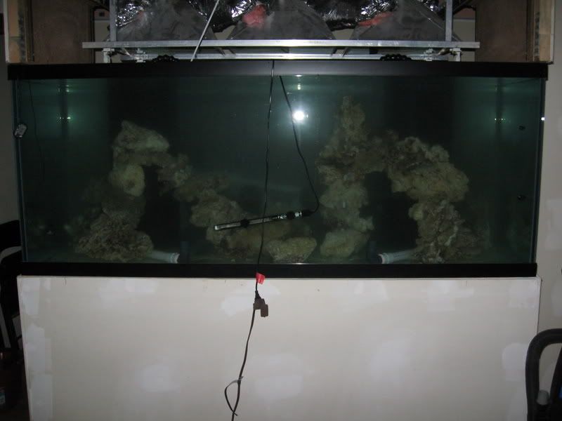 210-Aquascape008-1.jpg