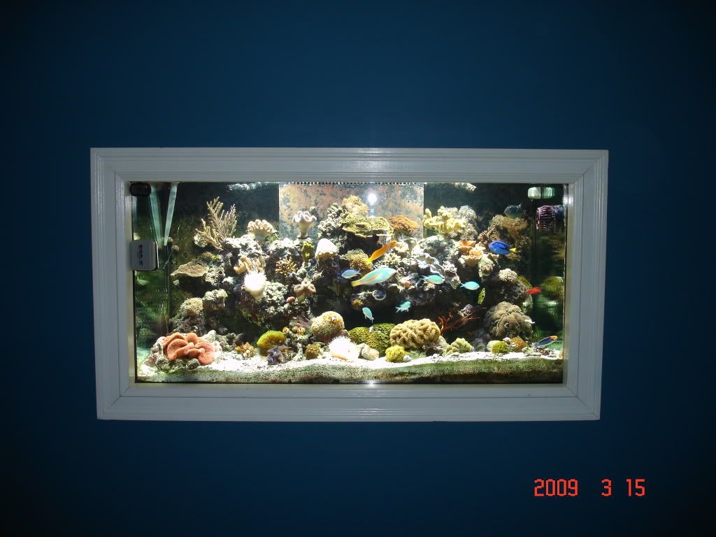 DSC02958.jpg