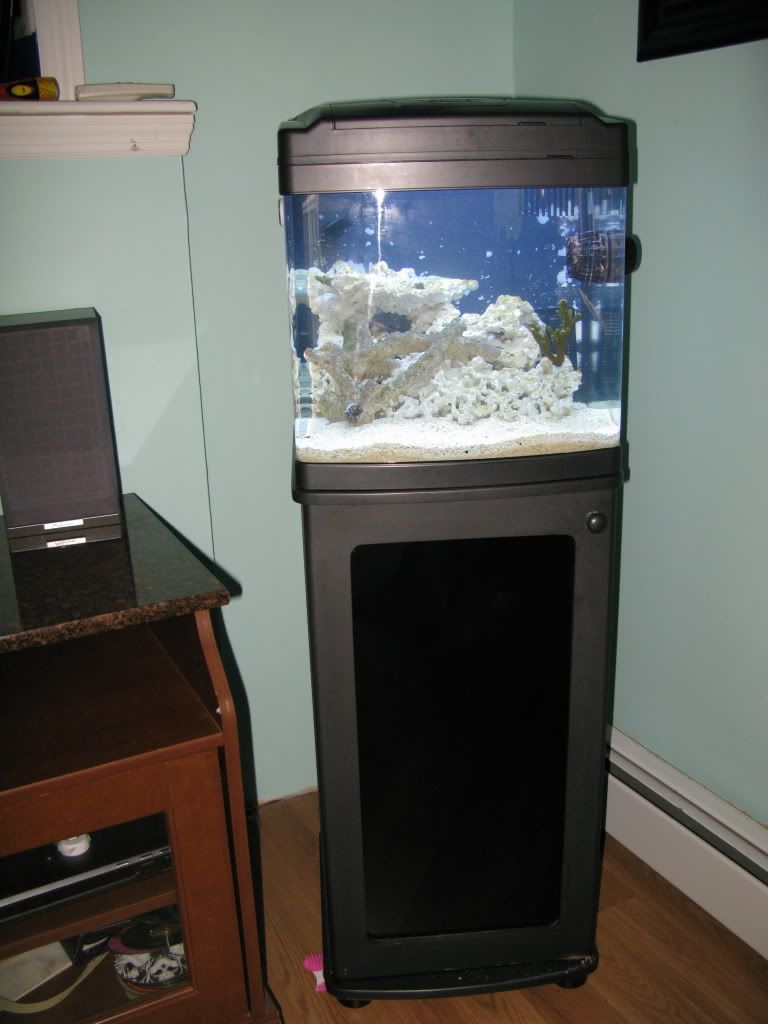 IMG_1359.jpg