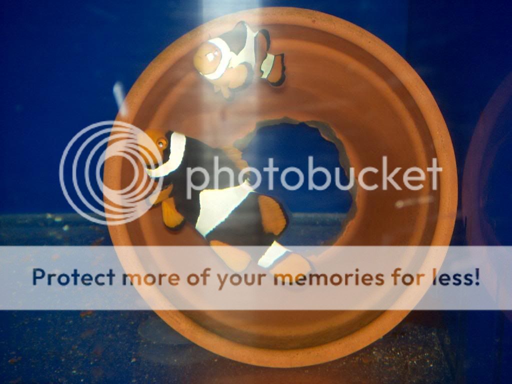 51165169.jpg