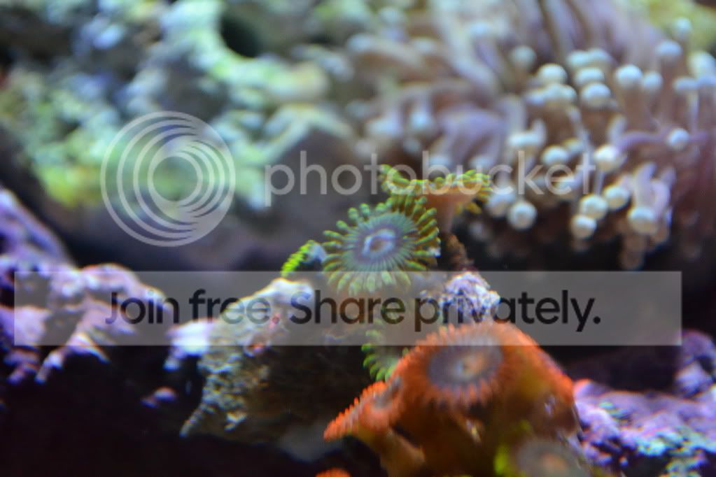 nanoforsale014.jpg