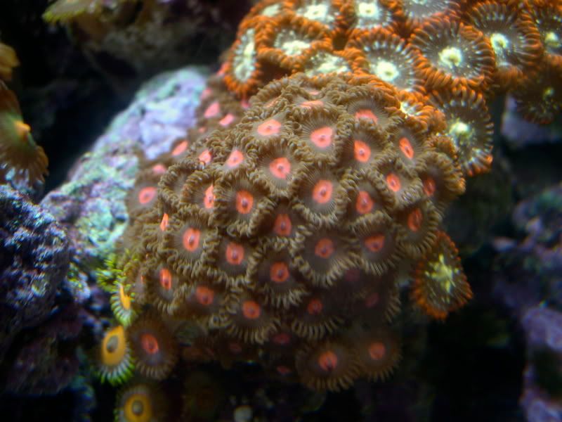 DSCN3577.jpg