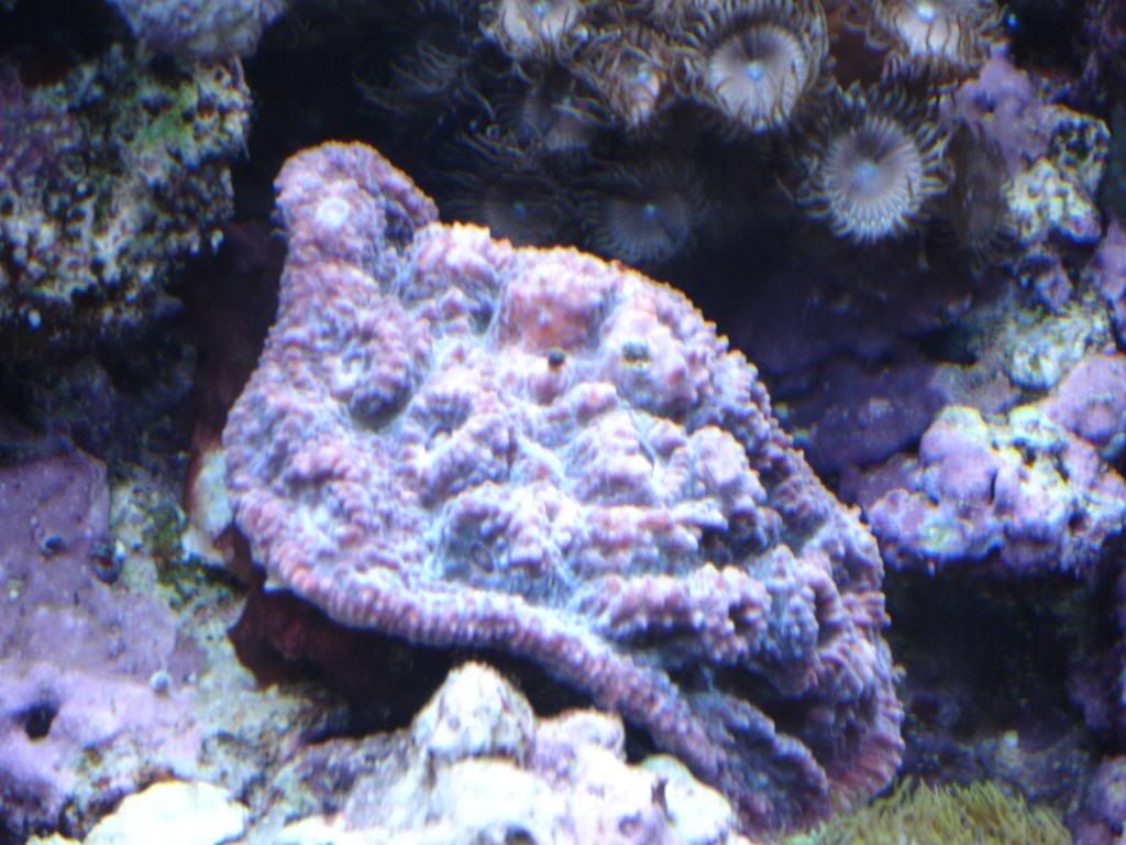 DSC02959.jpg
