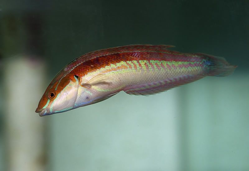 DSC_9719.jpg