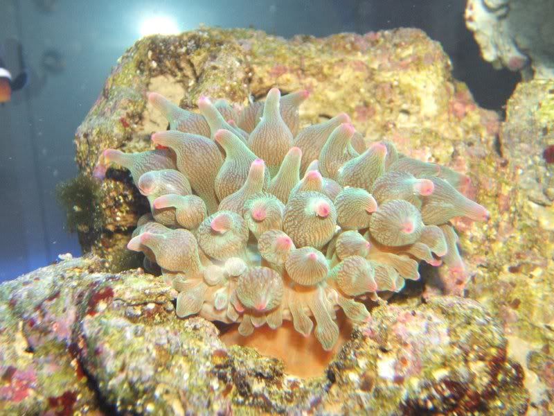 DSCF1087.jpg