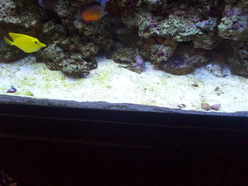 fishtank4.jpg