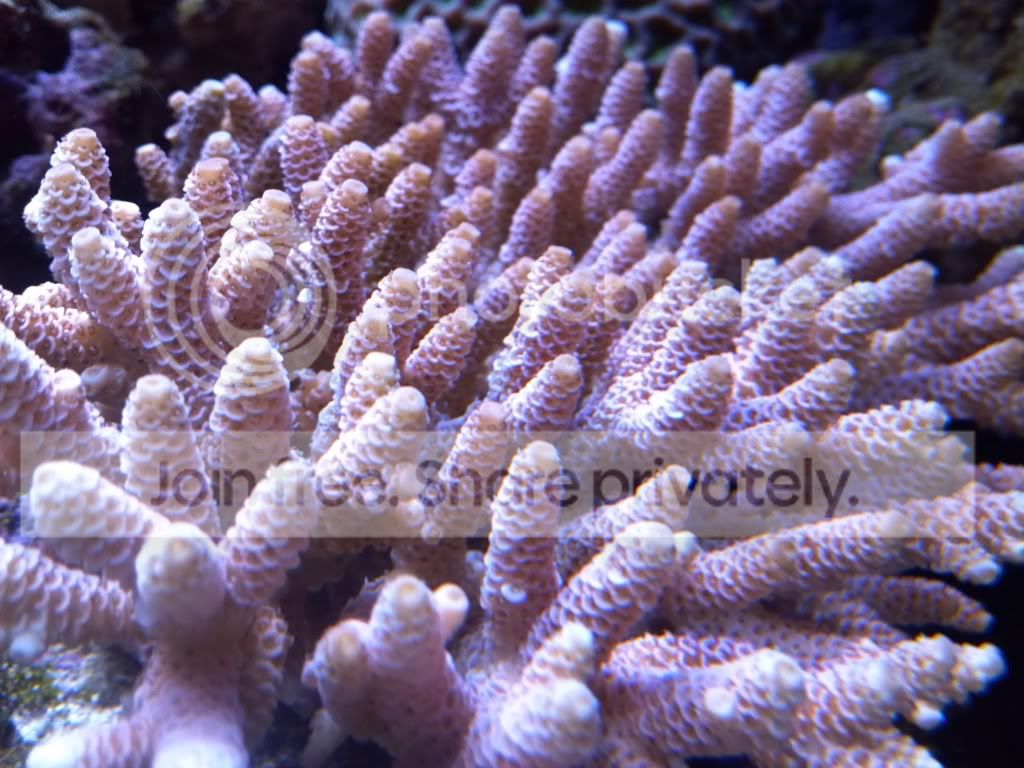 2012-01-17_13-58-54_976.jpg