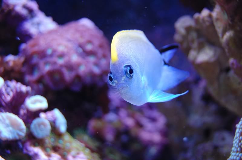 DSC_0503.jpg