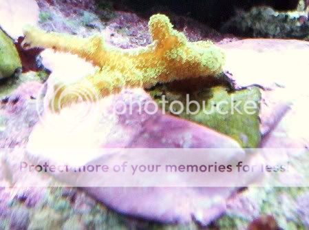 100_1651.jpg
