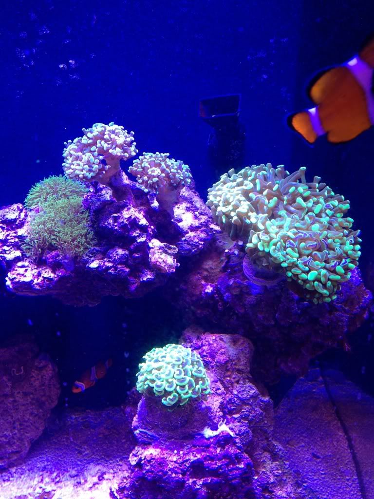 0cb03659.jpg