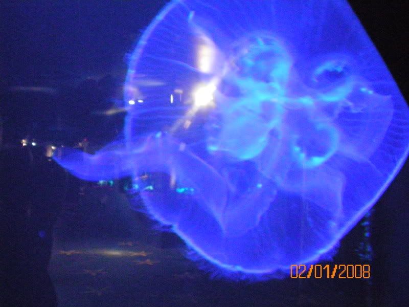 100_0132.jpg