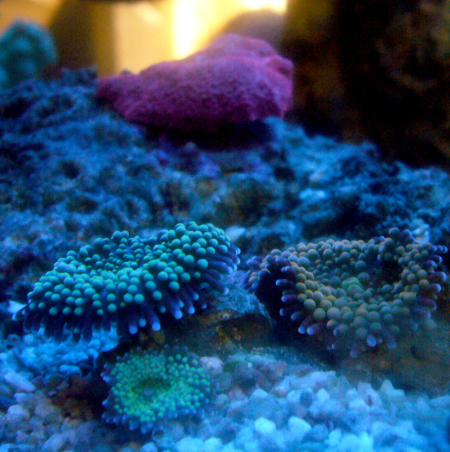 1350629090_8a3a450665_o.jpg