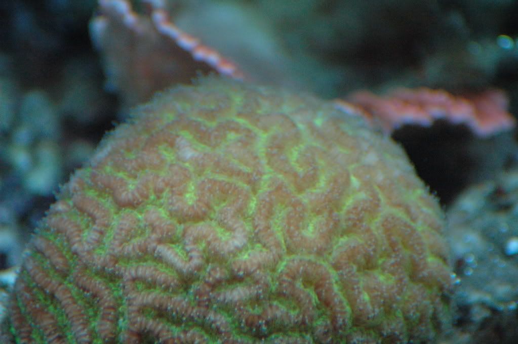 DSC_8085.jpg