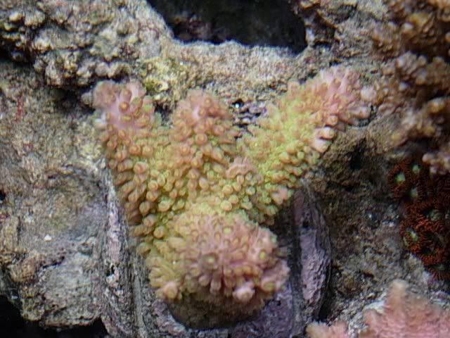 DSCN0269.jpg