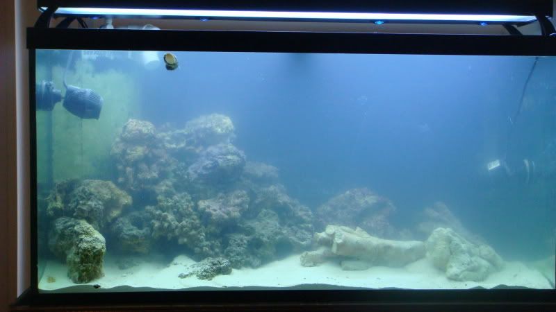 DSC09021.jpg
