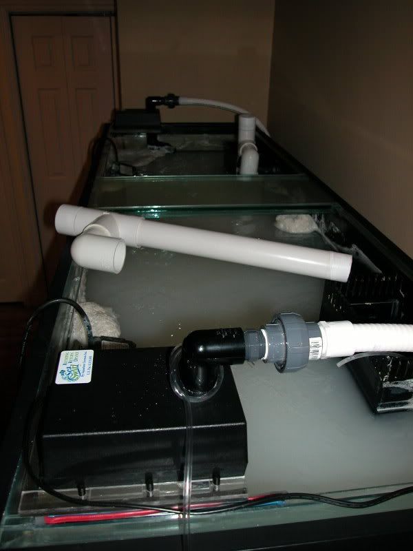 DSCN2559.jpg