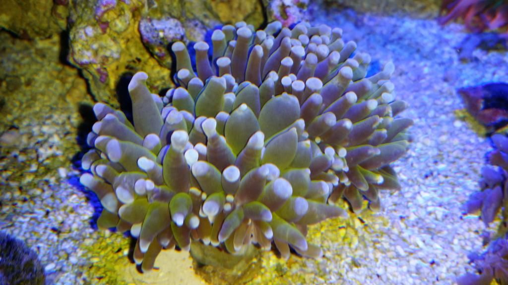 2014-10-25102637_zpsdd95bbda.jpg