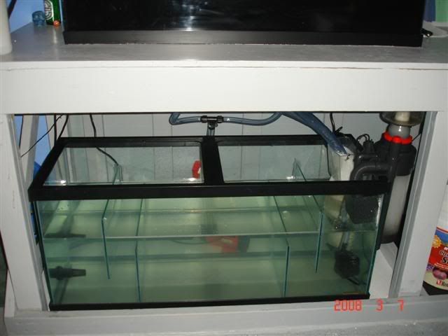 DSC01592Small.jpg