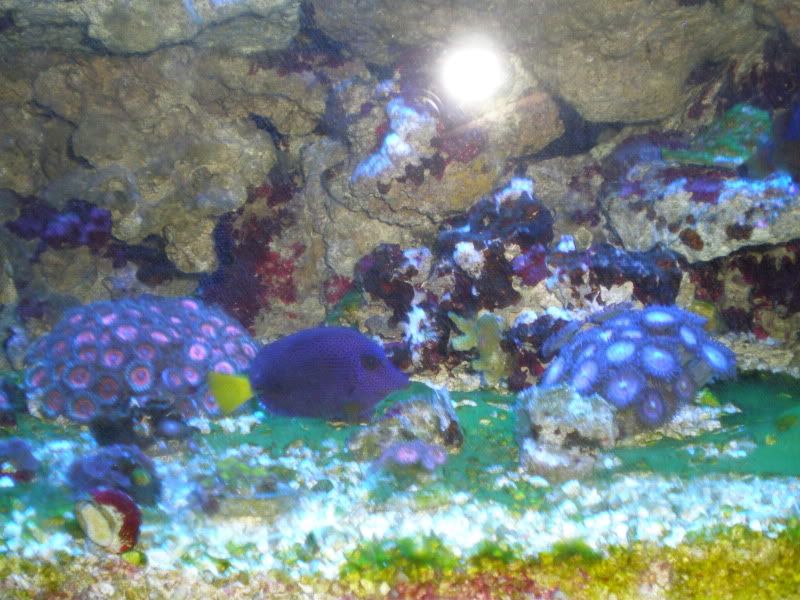 PC310011.jpg