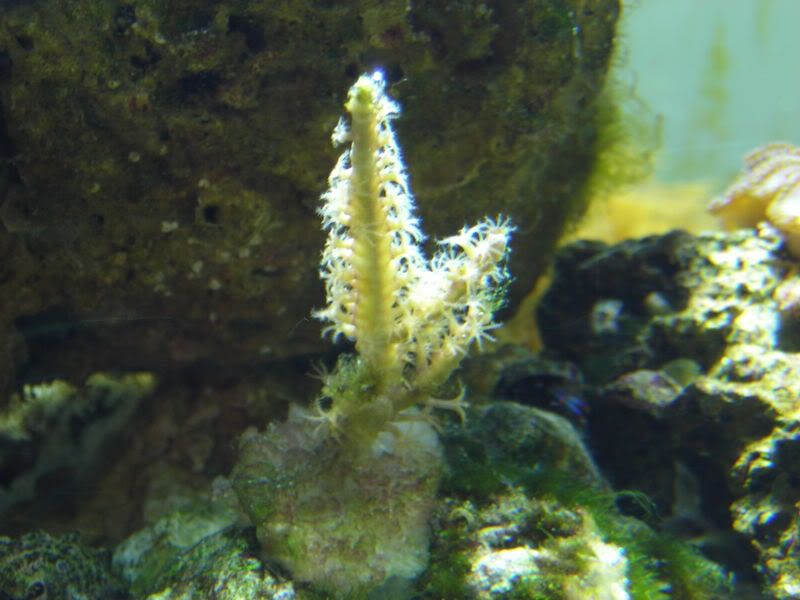 DSCN2101.jpg