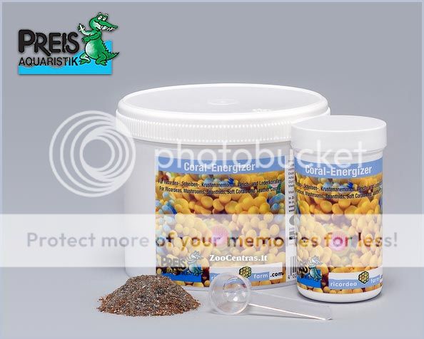 Preis_Coral_Energizer.jpg